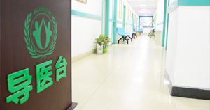 专业及治疗范畴